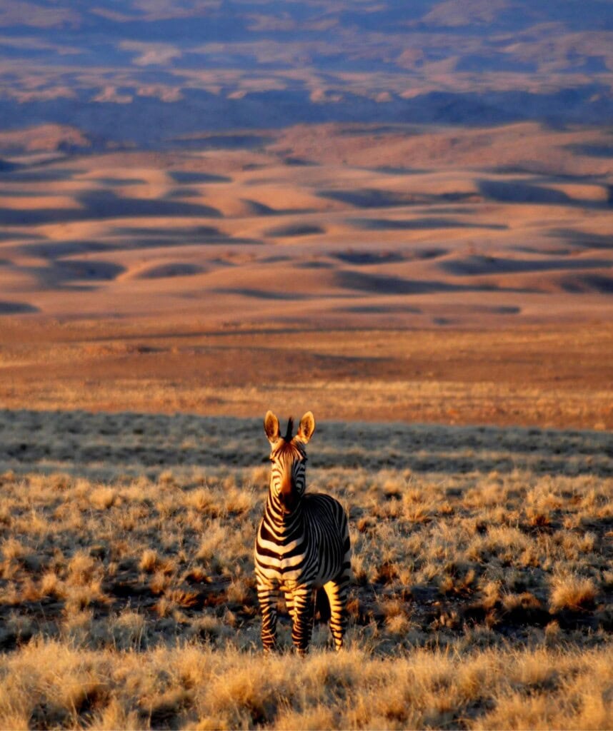 Private Konzession in der Namib Wüste