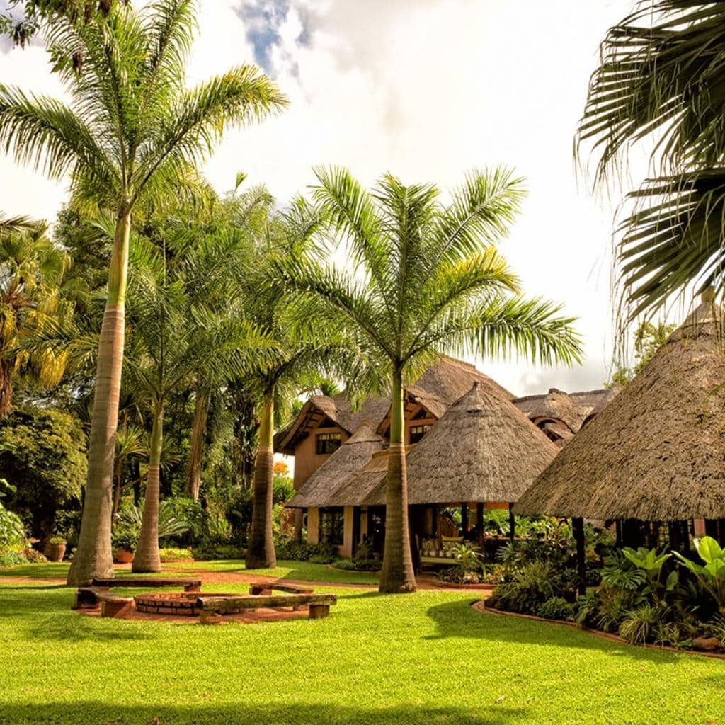 Gartenanlage mit Palmen und Chalets Amanzi Lodge