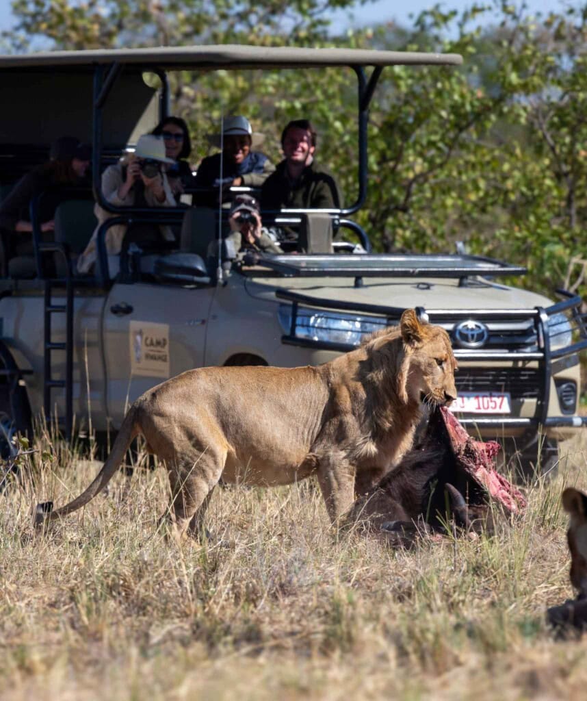Pirschfahrt im Hwange Nationalpark