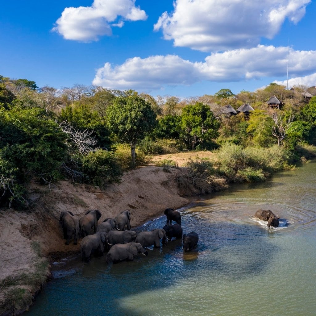 Elefantenherde badet vor der Chilo George Lodge