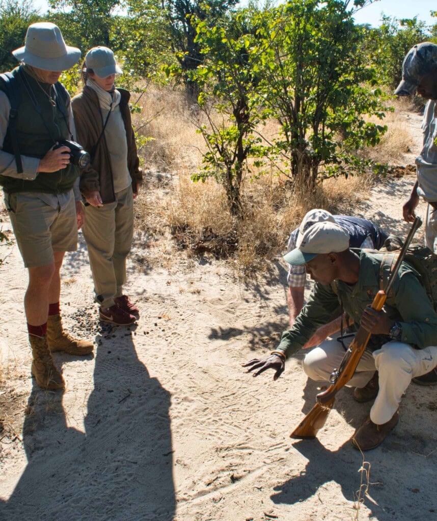 Walking Safari Hwange in Simbabwe