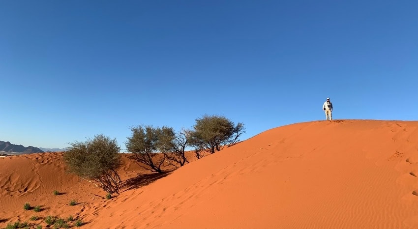 Gast steht auf einer roten Düne der Namib-Wüste in Namibia. Es ist strahlend blauer Himmel.