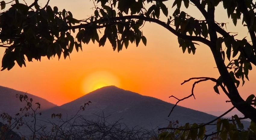 Sonnenuntergang über den Bergen in Namibia. Baum im Vordergrund.