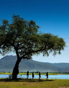 Wanderung am Lake Kariba bei blauem Himmel.