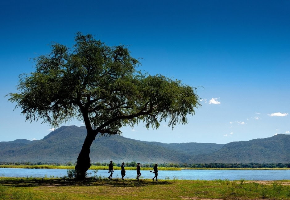 Wanderung am Lake Kariba bei blauem Himmel.