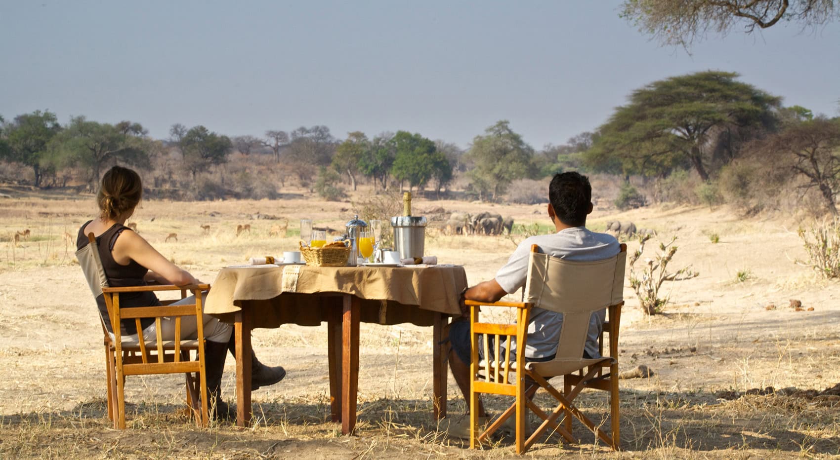Gäste der Ruaha River Lodge genießen ein entspanntes Sektfrühstück mit Blick auf die Wildnis und auf Elefanten, die in der Ferne vorbeiziehen. Gäste der Ruaha River Lodge genießen ein entspanntes Sektfrühstück mit Blick auf die Wildnis und auf Elefanten, die in der Ferne vorbeiziehen.