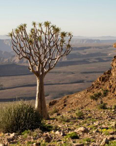 Blick über die Landschaft des Fish River Canyon Namibia
