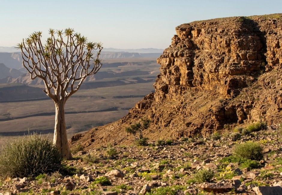 Blick über die Landschaft des Fish River Canyon Namibia