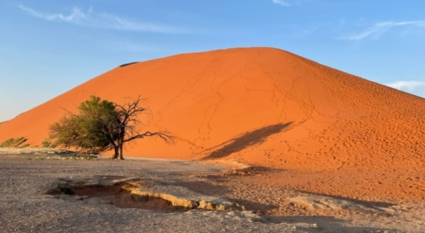 Rote Düne im Sossusvlei Namibia